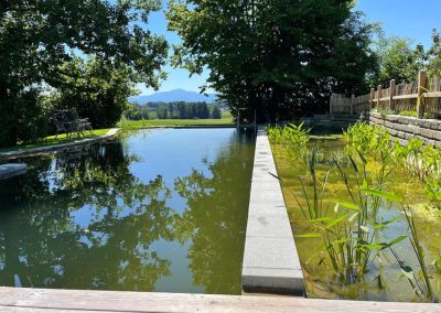 Naturbadeteich der Fembacher Alm